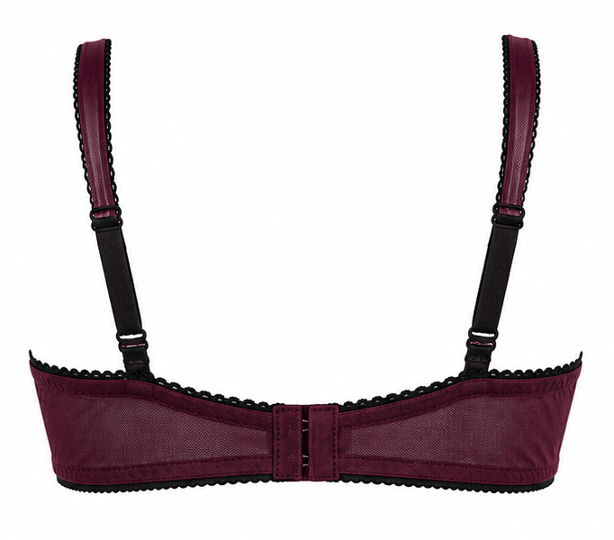 Bordeaux Allure Mesh Bra